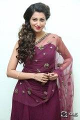 Hamsa Nandini at Bengal Tiger Movie Audio Launch